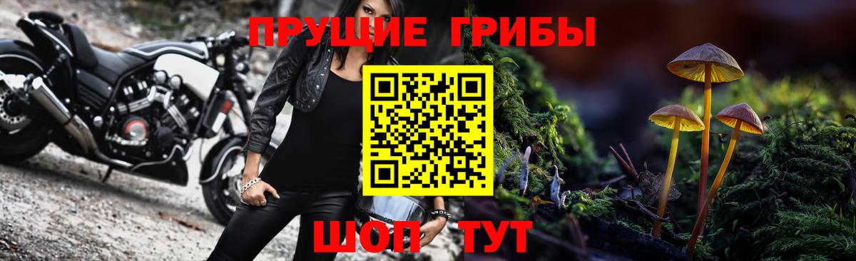 Псилоцибиновые грибы прущие грибы Сафоново